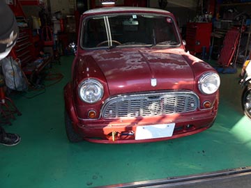 Evolution MINI