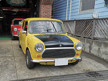 Evolution MINI
